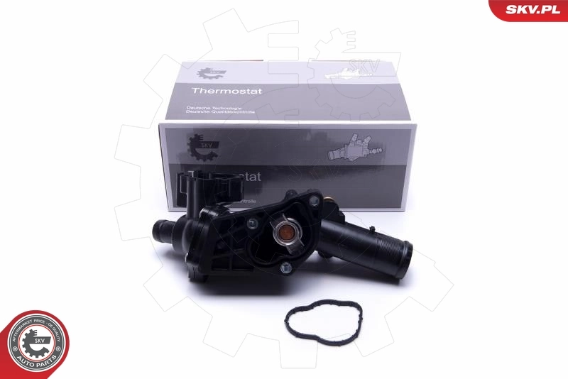 Thermostat, coolant